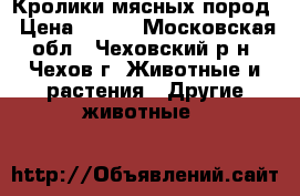 Кролики мясных пород › Цена ­ 350 - Московская обл., Чеховский р-н, Чехов г. Животные и растения » Другие животные   